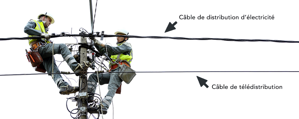 Câbles électriques aériens, Câbles de distribution