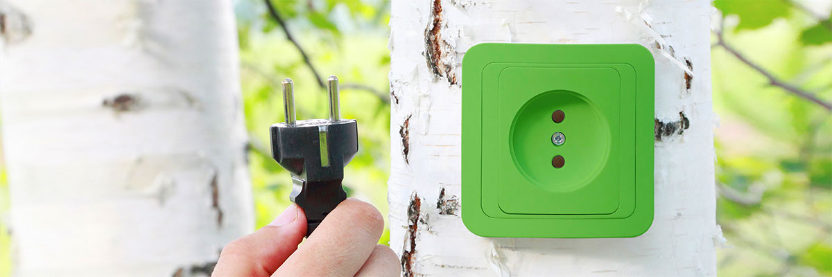une prise verte est connectée sur un arbre