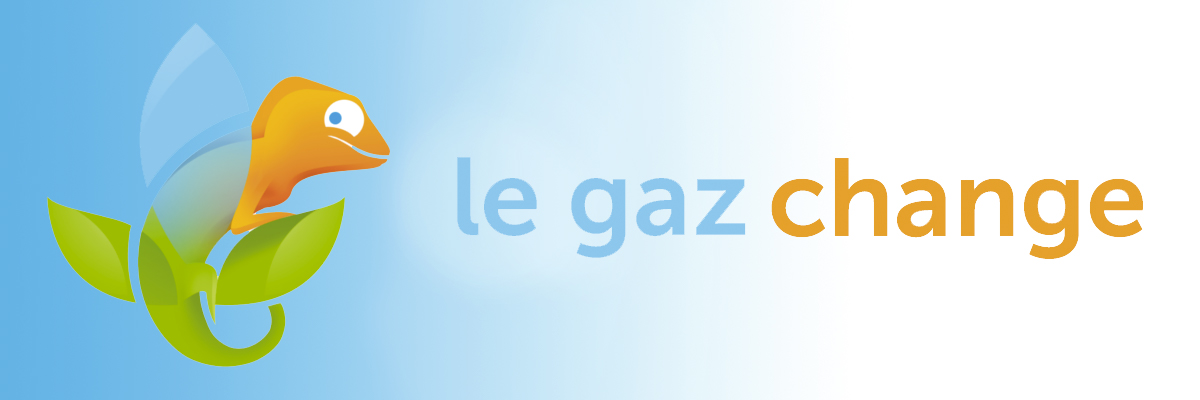 caméléon symbolisant la conversion gaz - le gaz change
