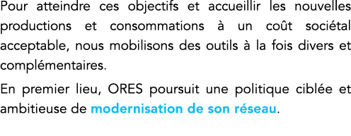 Pour atteindre ces objectifs et accueillir les nouvelles productions et consommations à un coût sociétal acceptable,    