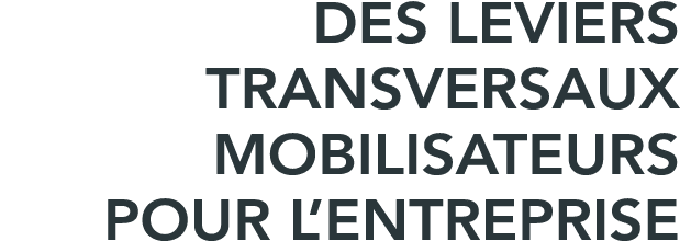 Des leviers transversaux mobilisateurs pour l entreprise 